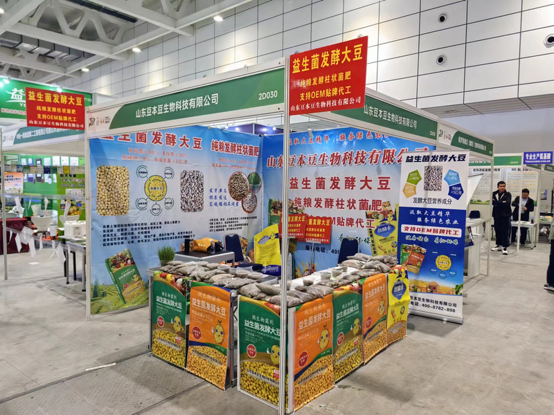 ɽ��������