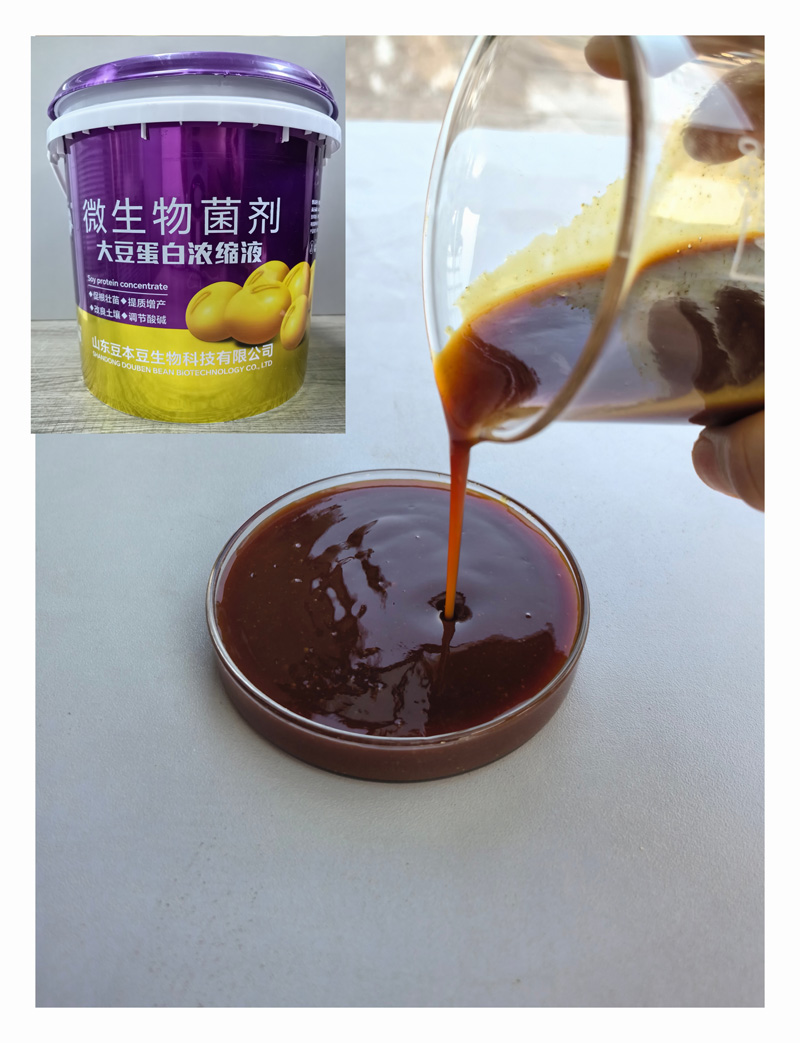 �󶹵���Ũ��Һ