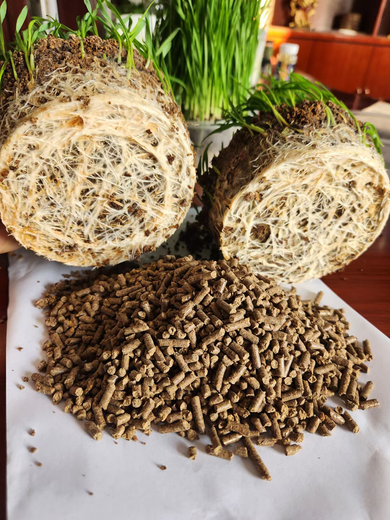 ������״����