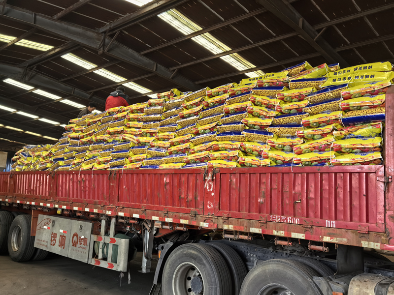 ������״����