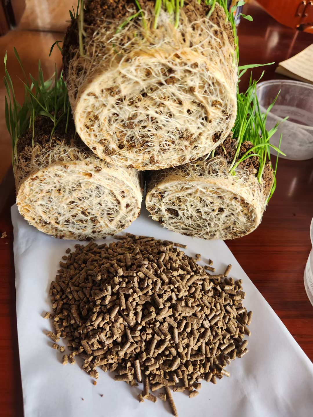 ������״����